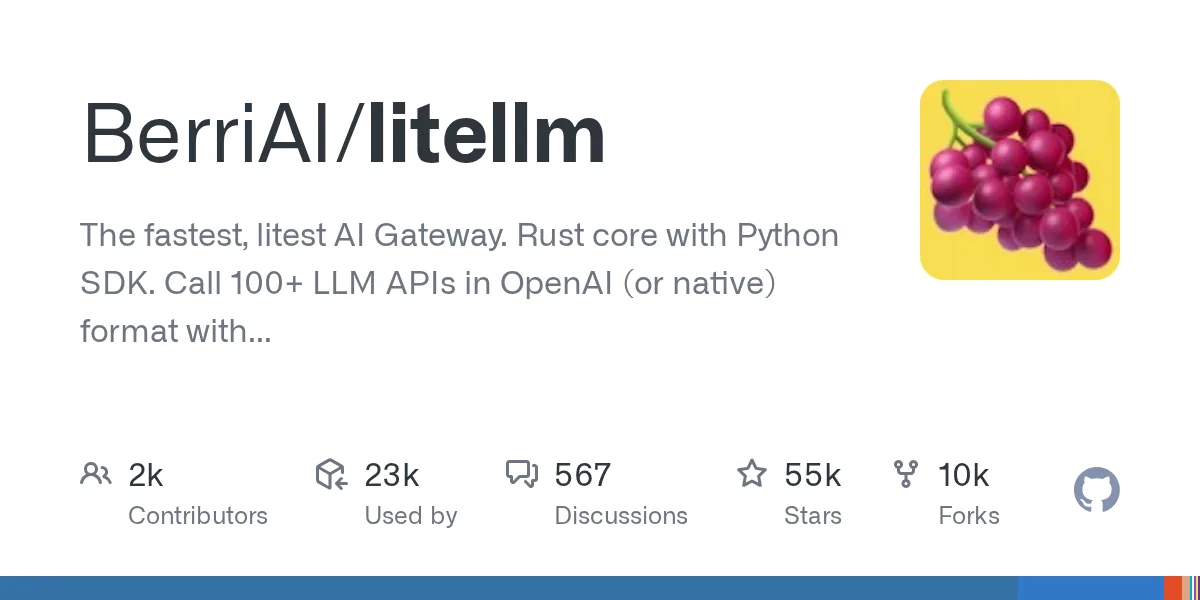 LiteLLM official project interface or overview