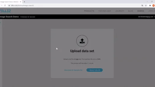 Milvus image similarity search demo
