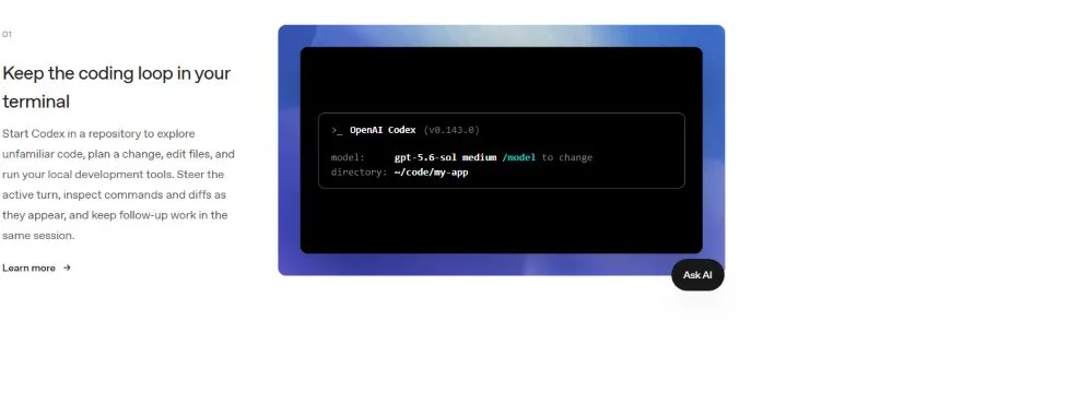 Official Codex documentation showing the terminal coding workflow